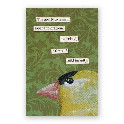 Painting Meme, Troubled Birds, Birds Quotes, Mincing Mockingbird, Weird Birds, Bird Quotes, Quotes Art, Bird Painting, Funny Birds