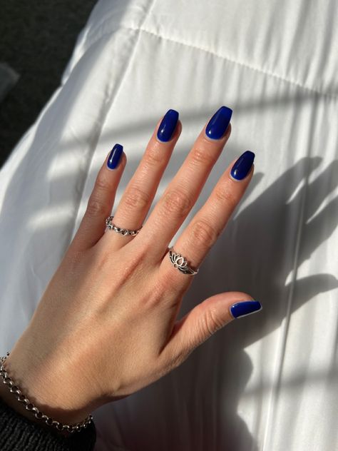 Sun shining on a hand with royal blue nail polish with coffin shaped nails. They are wearing a black sweater and have on a silver bracelet and silver rings Coffin Navy Nails, Royal Navy Blue Nails, What Color Nails Go With Navy Blue Dress, Royal Blue Nails Aesthetic, Navy Blue Coffin Nail Ideas, Classy Navy Blue Nails, Nail Inspo For Blue Dress, Navy Coffin Acrylic Nails, Navy Blue And Light Blue Nails