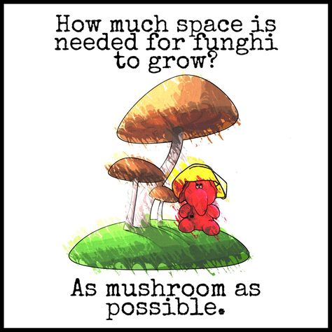 Mushroom Jokes, Puns Funny, Funny Corny Jokes, Bad Dad Jokes, Lunchbox Jokes, Punny Jokes, Cheesy Jokes, Daily Jokes, Dad Jokes Funny