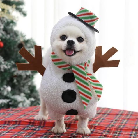 Dog Snowman, Christmas Pet Clothes, Snowman Costume, Salou, Pet Holiday, Dog Costume, Cat Costumes, Pet Costumes, Christmas Costumes