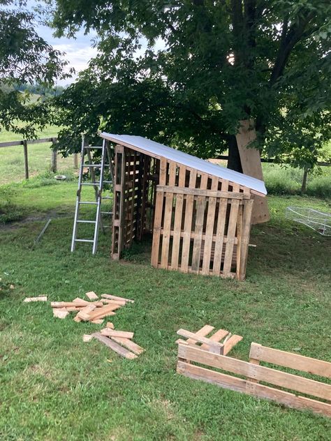 Pallet Goat Shed, Pallet Goat Pen, Cheap Goat Pen Ideas, Diy Goat Playground, Goats Pen, Pallet Goat House, Goat Structures, Pony Shelter, Pallet Goat Shelter