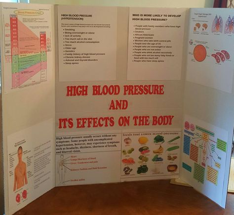 Nursing student community project on Hypertension Community Health Nursing Project, Hypertension Nursing, Community Health Nursing, Community Nursing, Health Fair, Nursing School Notes, Community Health, Health Promotion, Nursing Student