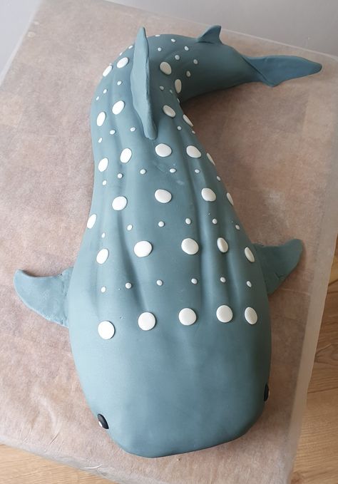 Whale Shark cake for Penelope's 12th Whale Shark Birthday Cake, Whale Shark Cake, Orca Cake, Cake Whale, Shark Cakes, Whale Cake, Whale Cakes, Shark Birthday Cakes, Shark Cake