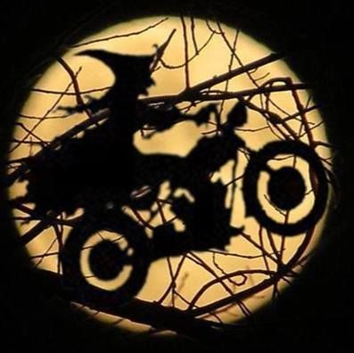 BIKER WITCH Witchy Sayings, Biker Halloween, Motorcycle Ideas, Biker Stuff, Witch Pictures, Biker Babe, Crows Ravens, Chalk It Up, Pumpkin Halloween Decorations