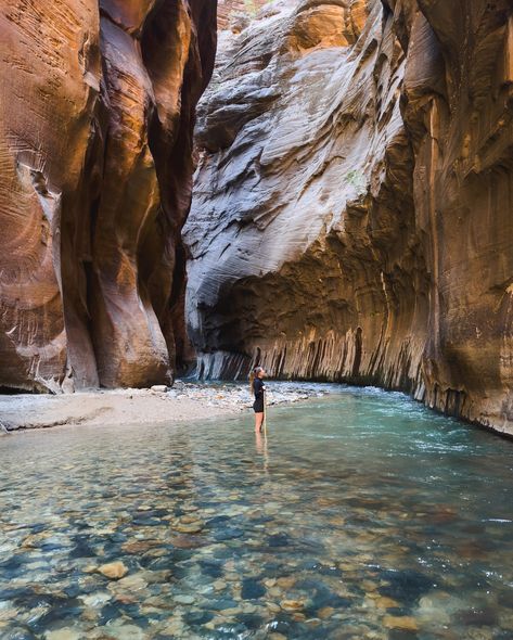 Narrowing down my Bucketlist 😜 The Narrows hike in Zion National Park is one of my favourite and most unique hikes I’ve done. Hiking through the river, below the towering canyon walls was truly an incredible experience #zionnationalpark #bucketlisthike #uniquehikes #visitutah #travelusa