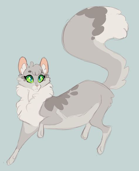 lovewing dovewing by LttleGhost on DeviantArt Wcue Inspiration, Warrior Cats Books, Cat Anatomy, Warrior Cat Oc, Love Warriors, Cat Oc, Warriors Cats, Warrior Cats Art, Cats Artists