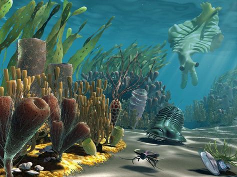 Pre Cambrian ocean Cambrian Explosion Art, Scary Sea Creatures, Cambrian Explosion, Sea Dinosaurs, Ocean Plants, Terracotta Warriors, Creatures Art, Paleo Art, Ocean Scenes