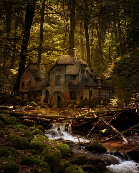 Old Mill in Black Forest, Germany. So beautiful & perfect that it looks fake(?). Black Forest Germany, Magical Places, Pretty Places, Design Case, Black Forest, Abandoned Places, House In The Woods, Bavaria, In The Woods