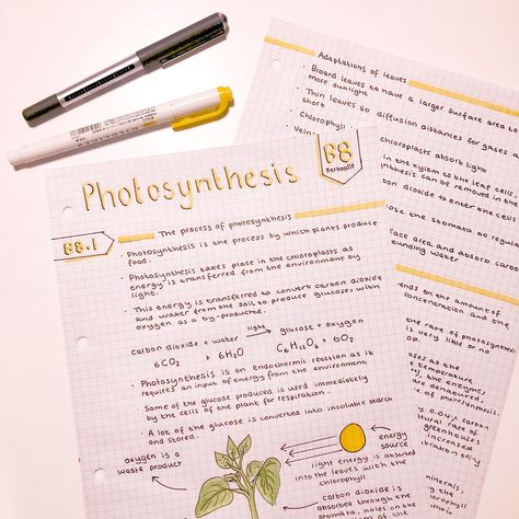 Aesthetic Photosynthesis Notes, Photosynthesis Notes Aesthetic, Photosynthesis Notes, Gcse Notes, Notes Aesthetic, Aesthetic Notes, Study Related, Notes Ideas, Academic Validation