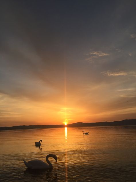 Lake bracciano, Italy Bracciano Italy, Celestial Bodies, Lake, Branding, Italy, Instagram, Nature