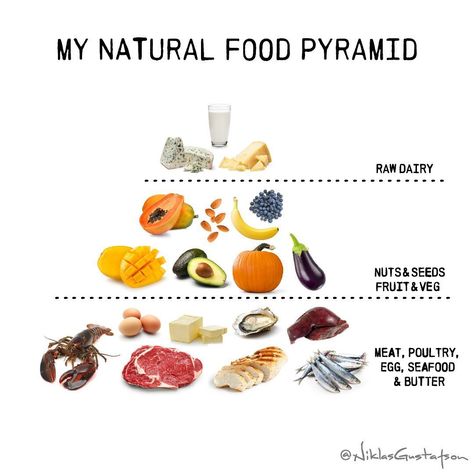 Niklas Gustafson on Instagram: “Most of us are familiar with the traditional food pyramid, where carbohydrates are at the base and refined sugars and fats are on the top.…” Carnivore Food Pyramid, Animal Base, Eating Better, Animal Based, Food Pyramid, Nuts & Seeds, Low Carb High Fat, Fruit And Veg, High Protein Recipes