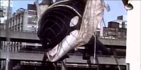 Review MMPA - introduce/enforce ban on Dolphin/Whale exportation Blackfish Documentary, Rodney King, Georgia Aquarium, Animal Activism, Trophy Hunting, Orca Whales, Stop Animal Cruelty, Killer Whales, Sea World