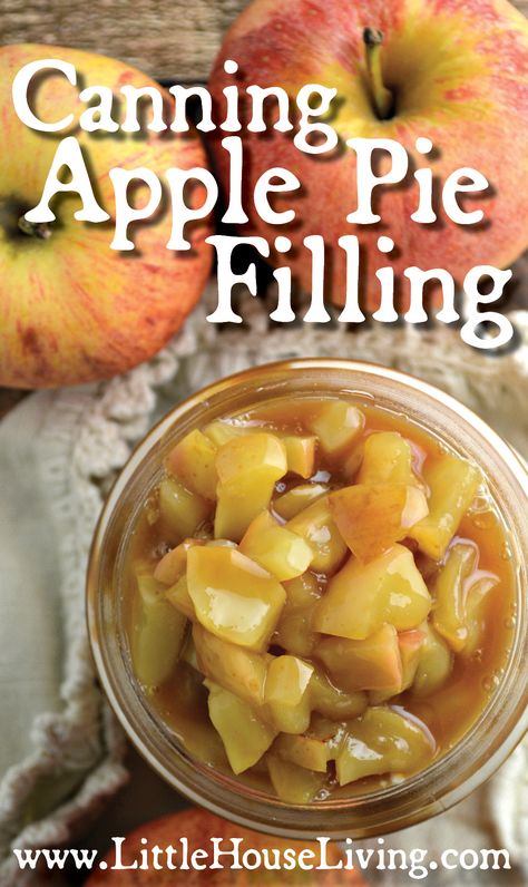 canning apple pie filling Pie Filling Desserts, Canning Apple Pie Filling, Canning Apples, Apple Pie Filling Recipes, Homemade Apple Pie Filling, Canned Apple Pie Filling, Cocina Diy, Pie Filling Recipes, Canned Apples