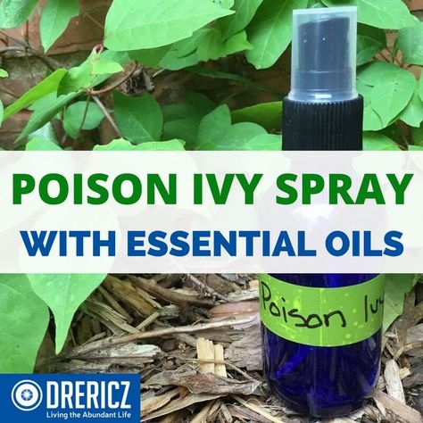 Oils For Poison Ivy, Poison Ivy Essential Oils, Poison Ivy Spray, Bottles Organization, Poison Ivy Relief, Poison Ivy Remedies, Poison Ivy Rash, Diy Essential Oil Recipes, Insect Spray