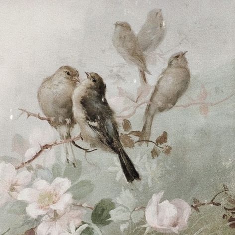 Pink Vintage Aesthetic Wallpaper, Beige Pink Aesthetic, Bird Phone Wallpaper, Classical Art Aesthetic, Vintage Widgets, Cute Paintings, Aesthetic Painting, Romantic Art, Ethereal Art