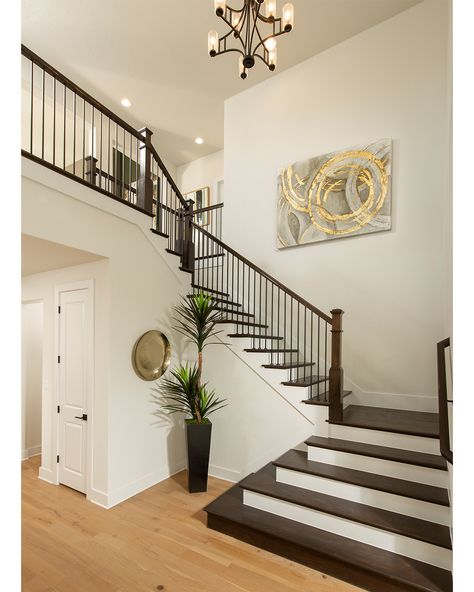 Stairs And Floor Different Color, Light Wood Floors Dark Stairs, Dark Staircase Light Floors, Dark Wood Staircase Light Floors, Light Floors Dark Staircase, Black Stairs With Light Wood Floors, Light Floor Dark Stairs, Staircase Different Color Than Floor, Light Wood Floors Dark Stair Railing