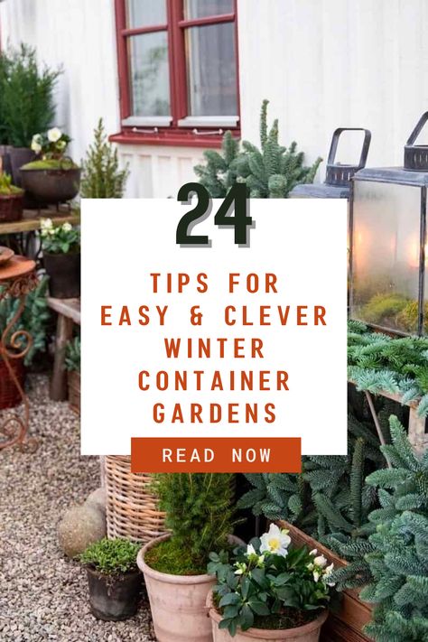 Elevate your outdoor space this winter with 24 easy, clever, and creative tips for planting and displaying winter container gardens. From festive colors to unique textures, these tips will inspire you to create beautiful outdoor displays that will thrive in the colder months. Winter Garden Ideas Outdoors, Winter Container Ideas, Winter Container Garden, Diy Winter Planter Front Porches, Outdoor Winter Planters, Winter Pots Outdoor Planters, Winter Plants For Pots Outdoors, Winter Container Plants, Winter Outdoor Planter Ideas