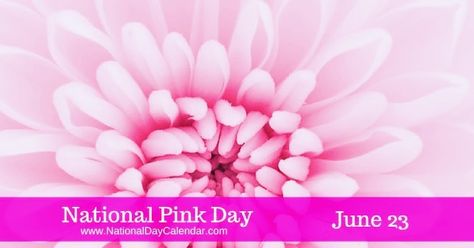 Have Wonderful  National Pink Day #nationalpinkday #pinkandgreen #pinkroses #pinkfriday #lovepink National Pink Day, Pecan Sandies, National Day Calendar, Day Calendar, Pink Day, National Days, Daily Holidays, What Day Is It, National Holidays