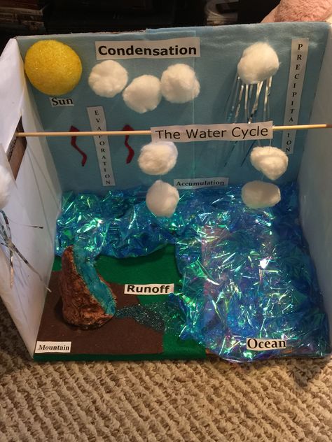 Water cycle project - 2nd grade Water Cycle Shoebox Project, Water Cycle Project Kids, Water Cycle Chart, Water Cycle Lessons, Water Cycle Model, Water Conservation Projects, Water Cycle Project, Elementary School Projects, Science Model