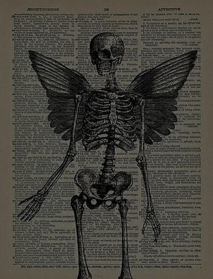 Grunge Posters, Scary Art, Vintage Poster Art, Book Page, Vintage Poster, Aesthetic Art, Vintage Posters, Skeleton, Poster Art