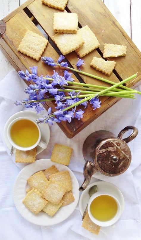 Chamomile tea and lemon shortbread cookies - Domestic Gothess Tea English, Lemon Shortbread, Lemon Shortbread Cookies, Italian Cakes, Shortbread Recipe, Baking Trays, Tea Time Food, Sugar Frosting, Shortbread Recipes