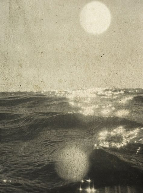 Sepia Aesthetic, Stephen Gill, Robert Frank, White Photo, Film Photography, The Ocean, Surfing, Portfolio, Sun