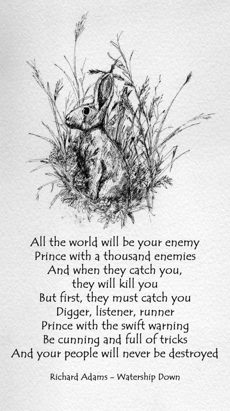 Darkest Minds, Down Quotes, Watership Down, The Darkest Minds, Rabbit Art, Poem Quotes, Ink Drawing, Rabbits, Book Quotes