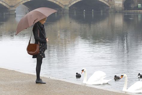 Taylor Swift in 4k | Fan Page on Twitter: "Feeling like her today https://t.co/aQpCk9RM1Z" / Twitter Taylor Swift Winter, Princess Diana Memorial, Taylor Swift Photos, Swift Photo, Album Of The Year, Winter Photos, Autumn Outfits, Autumn Vibes, International Artist