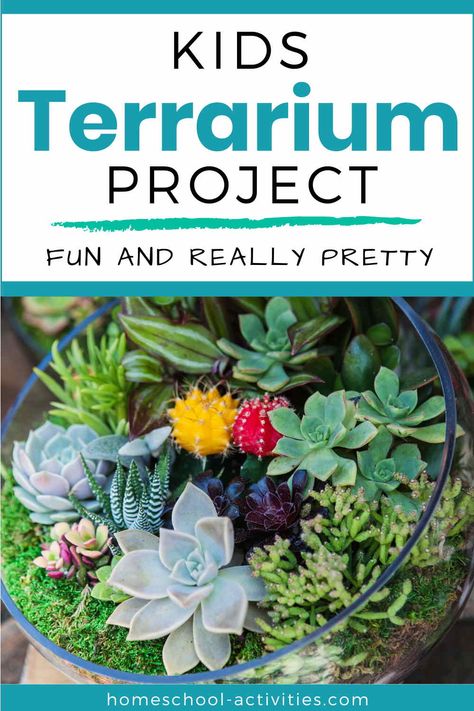 Make a terrarium Homeschool Themes, Plastic Terrarium, Make A Terrarium, Montessori Science, Diy Succulent Terrarium, Gardening With Kids, Monthly Activities, Coloring Pages Winter, Summer Camp Crafts