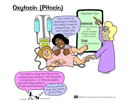 Oxytocin's mechanism of action Newborn Nursing, Medical Life, Nursing Goals, Nursing Information, Child Nursing, Ob Nursing, Mother Baby Nurse, Nursing Mnemonics, Neonatal Nurse