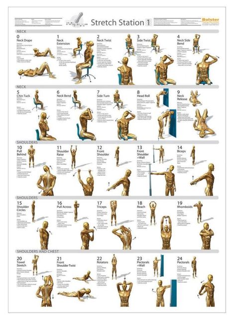 Stretches 1 Justice Tattoo, Anatomy Organs, Human Muscle Anatomy, Flexibility Routine, Sciatica Exercises, Italian Vocabulary, Posture Exercises, Muscle Anatomy, Superbowl Party Food