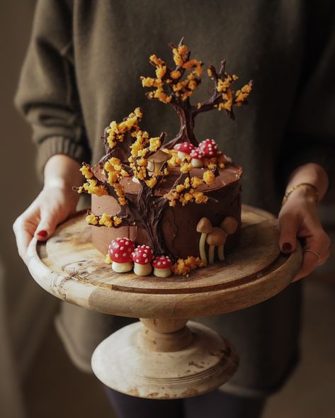 A rather bonkers Autumn Woods cake for our bestie Alex’s 8th birthday yesterday 🍄🍂 Double chocolate cake, with chocolate trees, orange sponge leaves & marzipan mushrooms 🍄‍🟫 A little toy Doberman exploring the forest was added at the end 🥰 Happy Birthday Alex! We love you sooo much. Here’s to a lifetime of forest walks with you ❤️ @jeanmassih84 Autumnal Birthday Cake, Birthday Cake Autumn Theme, Marzipan Mushrooms, Mushroom Decorated Cake, Mushroom Forest Cake, Autumn Fondant Cake, Woodland Birthday Cake, Mushroom Cake, Forest Walks