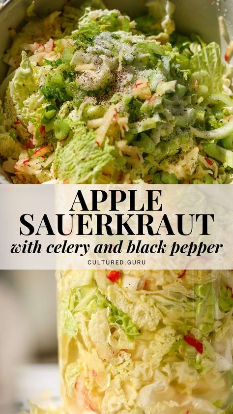 Enjoy the unique flavors of this apple sauerkraut recipe made with celery and black pepper. This apple sauerkraut is long fermented for 21 days, giving it the best flavor and making it perfect for gut health. #apple #sauerkraut #fermented Fermented Vegetables Recipes, Sauerkraut Recipe, Fermented Veggies, Healthy Nutrition Plan, Sauerkraut Recipes, Fermentation Recipes, Fermented Vegetables, 140 Pounds, Pickling Recipes