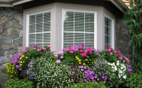 container gardening cottage style ~love how these boxes wrap around the bay window Bay Window Garden, Bay Window Plants, Window Garden Ideas, Bay Window Exterior, Window Landscape, Front Yard Flowers, Bib Tutorial, Front Yard Patio, Front Walk