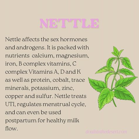 FERTILITY ENHANCING HERBS🌿💜 These are our favorite ally herbs to use individually and together. They are used in our custom herbal blends, depending on what your feminine wellness goals are and which herbs will work best for your unique journey. What are your favorite herbs🌿 ? Grab a custom herbal blend for consuming or Yoni steam at doulainthedesert.con/store or Comment HERBS for direct link🌙 . . . . . . . . #herbs #doula #doulasupport #yoniteablend #yonisteam #fertility #infertility #c... Herbs For Vag Health, Herbs For Fertility, Feminine Wellness, Optimum Health, Fertility Health, Improve Fertility, Feminine Health, Wellness Goals, Home Health Remedies