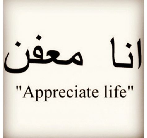 Story of my #lebanese life Lebanese Quotes, Appreciate Life, Heart And Mind, Poetry Quotes, Bits And Bobs, Food For Thought, Create Yourself, Inspirational Quotes, Finding Yourself