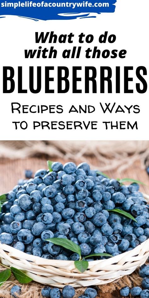 Want to know what you can make during blueberry season? Want to know how to preserve them?  There are so many delicious things to make. How To Can Blueberries, What To Do With Fresh Blueberries, How To Preserve Blueberries, What Can I Make With Blueberries, Blueberry Preservation, Things To Do With Blueberries, What To Do With Blueberries, Cook Blueberries, Blue Berries Recipes