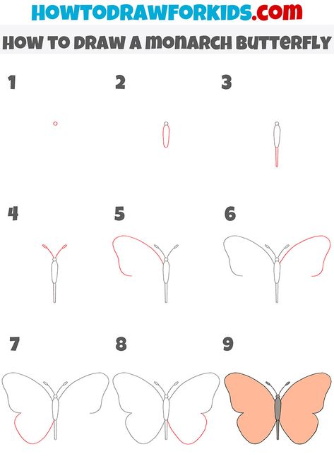 How To Draw A Monarch Butterfly Easy, Step By Step Small Drawings, Butterfly Drawing Steps, How To Draw Buterfluffy, Butterfly Painting Easy Step By Step, How To Draw Simple Butterfly, Butterfly Drawing Tutorial Step By Step, Basic Butterfly Drawing, How To Draw A Butterfly For Kids