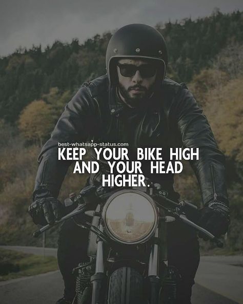 Bike Life! #bikelife #harleylife #justride #ftw #dkcustom #stockbikessuck #harleydavidson #motorcycles #justride #riding #road #time #lifebehindbars #ftw #rideordie #idratherberiding #livefree #ridefree #nofear #noregrets Bike Captions Instagram, Cool Whatsapp Status, Bike Ride Quotes, Love Video Status, Prison Quotes, Ride Quotes, Rider Quotes, Bike Status, Johnny Depp Quotes