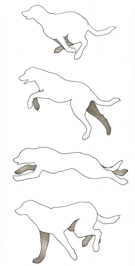 Dog Running Drawing Reference, Dogs Running Drawing, Dog Running Reference, Dog Running Drawing, Block Stamping, Running Drawing, Dogs Running, Back Drawing, Dog Running