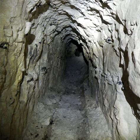 Sheffield Cathedral, Hidden Tunnel, Hidden Door Bookcase, Secret Passage, Secret Passages, Secret Tunnel, Small Entrance, Bookcase Door, Palace Interior