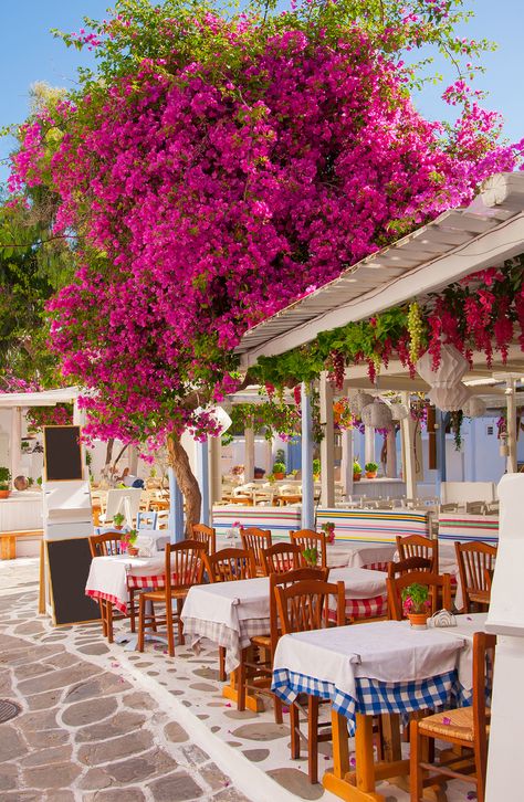 Greek Taverna, Greek Cafe, Greece Holidays, Restaurant Design Inspiration, Greece Painting, Greek Island Hopping, Greek Restaurants, Bar Interior Design, Greece Holiday