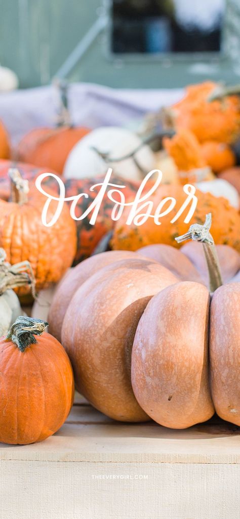 Tap to download our free October wallpaper for the fall season October Wallpaper Backgrounds, October Wallpaper Iphone, October Background, October Wallpaper, Creepy Decor, Tech Background, The Everygirl, Pumpkin Spice Latte, Backgrounds Desktop