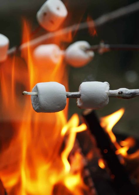 Camping Checklist Family, Campfire Marshmallows, Camping Photo, Camping Photography, Camping Aesthetic, Activities For Adults, Camping Checklist, Camping Supplies, Camping Activities