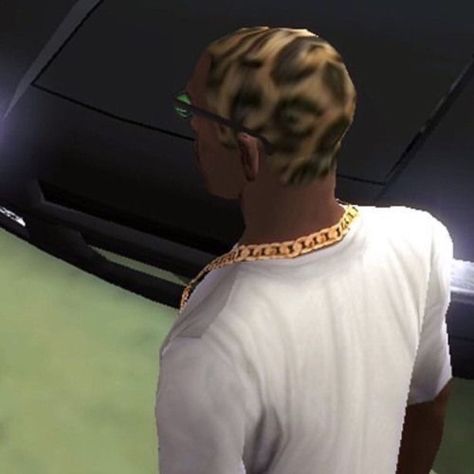 Carl Johnson Gta, Funny Mood Pics, San Andreas Gta, Gta Funny, Carl Johnson, Funny Mood, Album Artwork Cover Art, Leopard Print Hair, Gta Sa