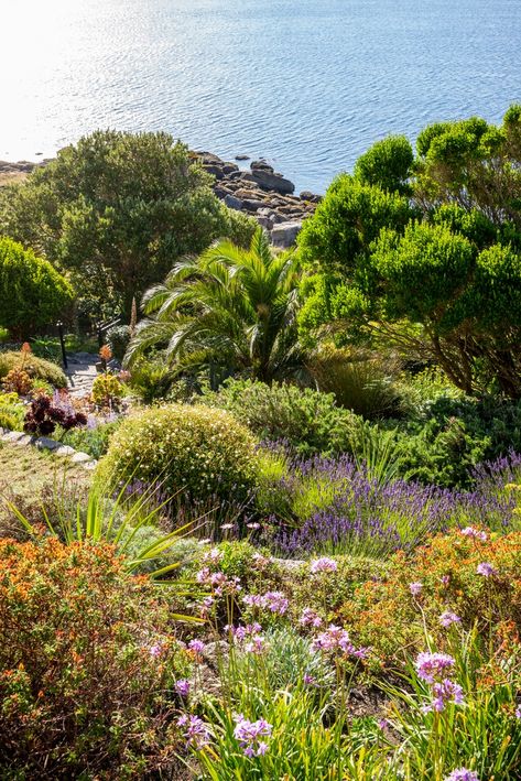 The remarkable hidden gardens of a historic Cornish landmark | House & Garden The Rock Face, Granite Blocks, St Michael's Mount, Castle Tower, Hidden Garden, Arts And Crafts House, Rock Face, Secret Gardens, Stone Path