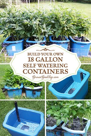 Build Your Own 18 Gallon Self Watering Containers Diy Self Watering Planter, Gemüseanbau In Kübeln, Self Watering Containers, Jardim Diy, Grow Boxes, Garden Container, Container Ideas, Self Watering Pots, Self Watering Planter