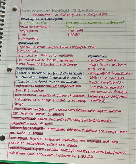 Prokaryotic And Eukaryotic Cells Notes, Prokaryotes Vs Eukaryotes Notes, Prokaryotic Cell Notes, Plasma Membrane Notes, Prokaryotic Vs Eukaryotic Cells, Biology Notes Aesthetic, Prokaryotes Vs Eukaryotes, Prokaryotic And Eukaryotic Cells, Aesthetic Class