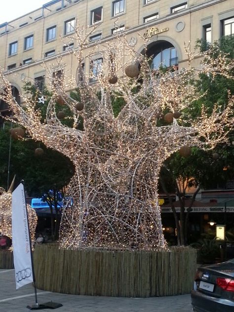 Christmas decor, Sandton South Africa Christmas In South Africa, Africa Decor, Hotel Christmas, African Christmas, Summer Christmas, City Lights, Beautiful World, Christmas Decor, South Africa