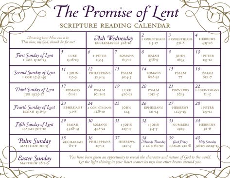 Scripture Calendar, Lent Readings, Lent Devotional, 40 Days Of Lent, Bible Coloring Sheets, Free Scripture Printables, Lent Prayers, Book Excerpts, Scripture Writing Plans